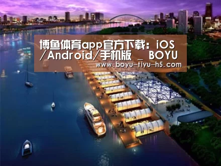 案例展示八