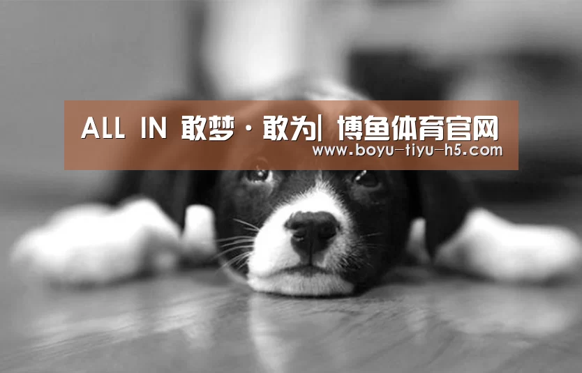 ALL IN 敢梦·敢为| 博鱼体育官网(图1) 博鱼体育官网