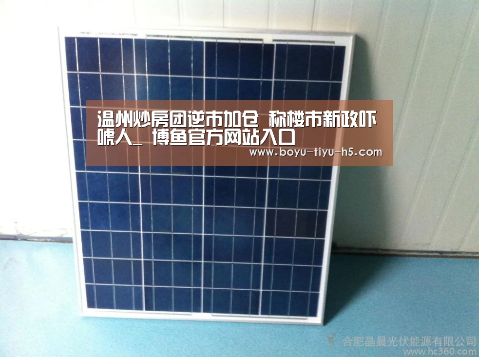 温州炒房团逆市加仓 称楼市新政吓唬人_ 博鱼官方网站入口(图2) 博鱼体育